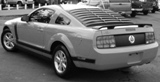 back_of_mustang.jpg