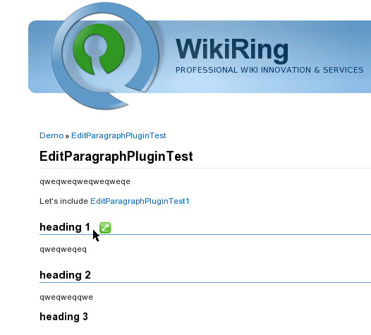 EditParagraphPluginSnap1.png