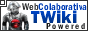 A TWiki button to web sites TWiki based