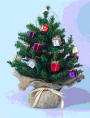 baby-tree.jpg