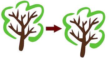 copy-tree.png