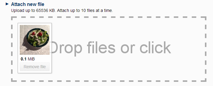 dropzonejs-skin.png